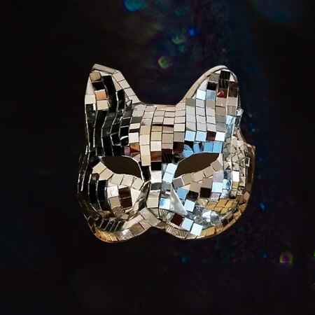 Mirror Costume Women Dancer Costume Fox Mirror Mask Festival Outfit Stage Clothes - Tem-laser.com